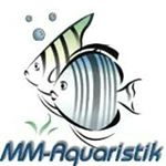 Profile Picture of Michael Madeya (@mm_aquaristik2794) on Instagram
