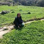 Profile Picture of Lan Leung (@kamlan1222) on Instagram