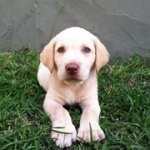 Profile Picture of Michael Dolinger (@madwooden1) on Instagram