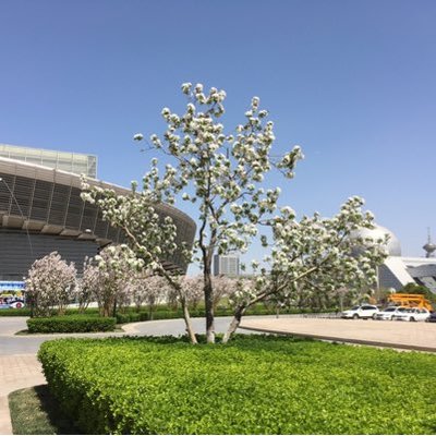 Profile Picture of Zhenyu Wang (@Wang_319) on Twitter