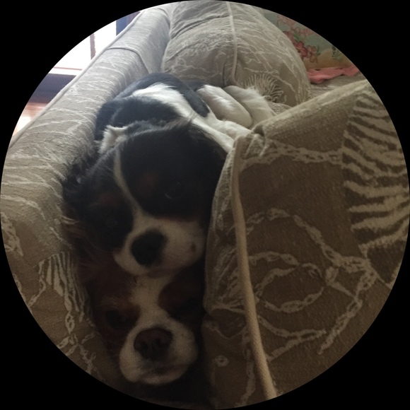 Profile Picture of Lucy Haynal (@lucindamarg) on Poshmark