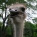 Profile Picture of Kevin Marchese (@kevin.marchese.52) on Facebook