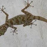 Profile Picture of Larry Flofi Menganito Juares Almaraz (@larryflofimenganito.juaresalmaraz.3) on Facebook