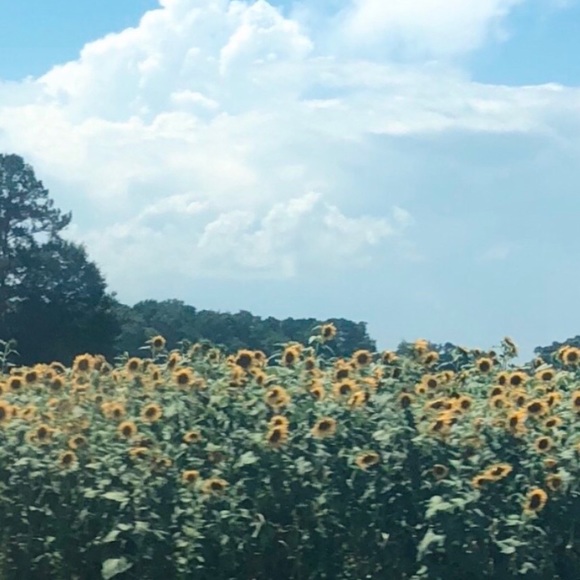 Profile Picture of Caroline Rogozinski (@carryrogo) on Poshmark