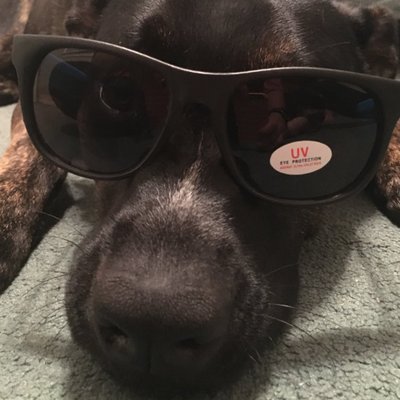 Profile Picture of Tyler Weyant (@tweyant) on Twitter