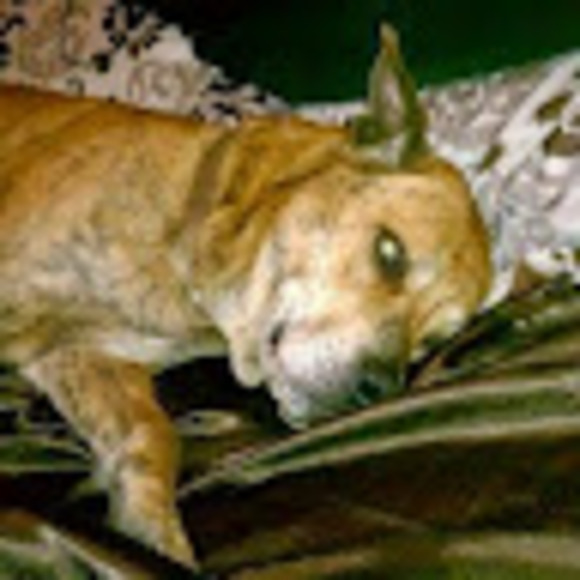 Profile Picture of Kevin Kratowicz (@klownkevin) on Poshmark