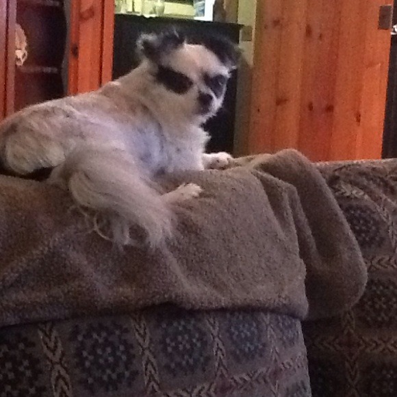 Profile Picture of Felicia Schloer (@fschloer) on Poshmark