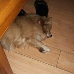 Profile Picture of Edward Pepper (@edshandymanservices56) on Instagram