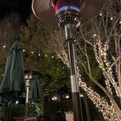 Profile Picture of Shehla Haider (@Haider_Shehla) on Twitter