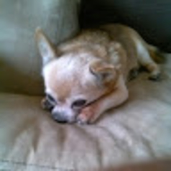 Profile Picture of Ray Coleman (@raybien85) on Poshmark