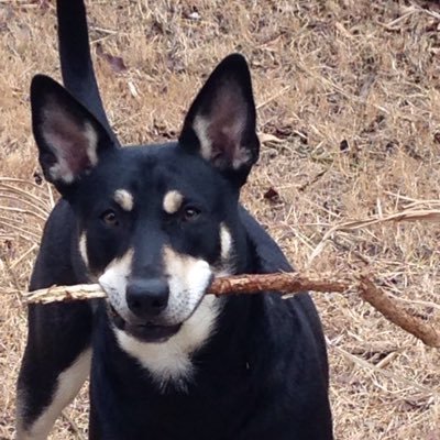 Profile Picture of Joe Waddell (@joe_waddell5) on Twitter