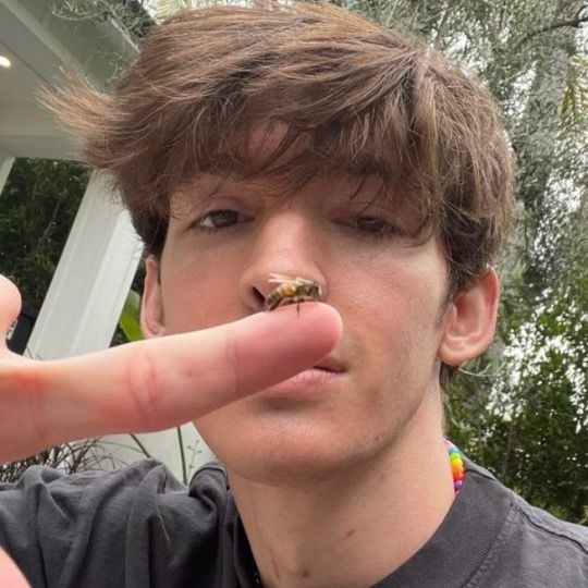 Profile Picture of ava (@albertsflag) on Tiktok