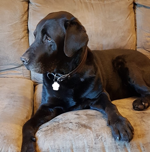 Profile Picture of Julie Newall (@julieanewall) on Poshmark