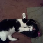 Profile Picture of Jodi Sistek (@jodi.sistek) on Facebook