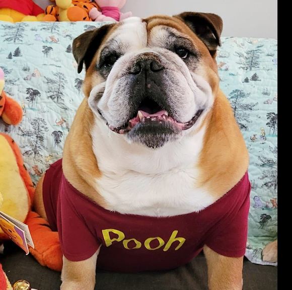 Profile Picture of Miranda Higgs (@miranda_higgs) on Poshmark