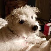 Profile Picture of John Anaya (@johnanaya656) on Youtube