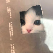 Profile Picture of Earnest Lemay (@EarnestLemay) on Youtube