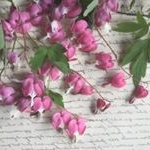 Profile Picture of Patsy Bechtold (@patsyspressedflowers) on Instagram