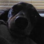 Profile Picture of Jamie Hargrove (@jhargrove710) on Instagram