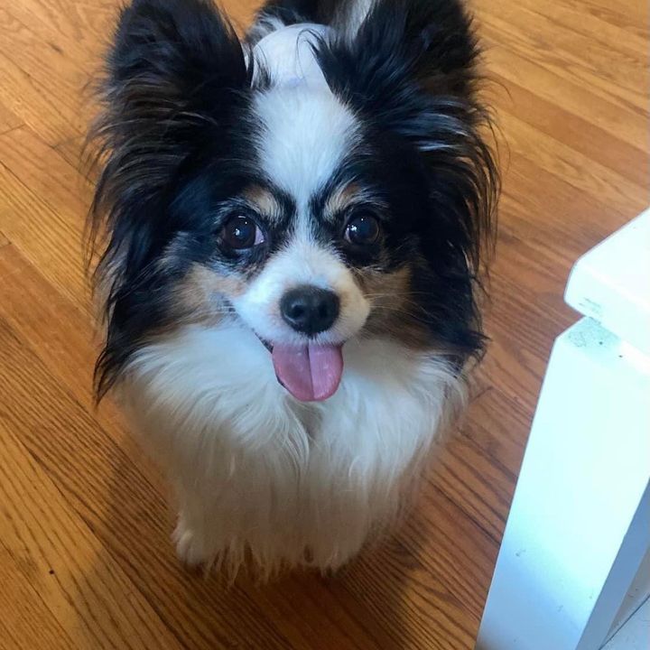 michelegirardot - Tiktok Profile Picture of michelegirardot (@michelegirardot) on Tiktok