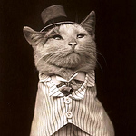 Profile Picture of bergeroflondon (@bergeroflondon) on Flickr