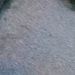 Profile Picture of Travis Smoot (@epicawesomeness20132) on Pinterest