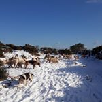 Profile Picture of Robert Medcalf (@robert.medcalf) on Instagram