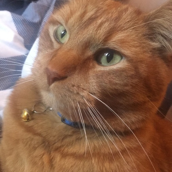 Profile Picture of Brianne Murphy (@hayitzbriii) on Poshmark