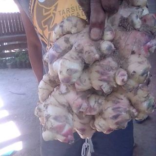 Profile Picture of Apolonio Cantos (@apolonio.cantos.5) on Facebook