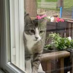 Profile Picture of johanna heller (@johannaxzvw) on Instagram