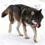 Profile Picture of kyle (@blaze_king112) on Instagram