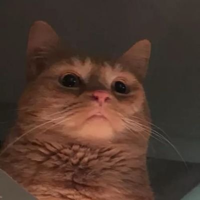 Profile Picture of John Libs (@JanrizL) on Twitter