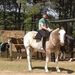 Profile Picture of Lucas Mullen (@lmullen1895) on Pinterest