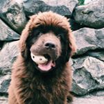 Profile Picture of Matthew Schweitzer (@matthewschweitz) on Instagram