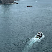 Profile Picture of Kay Zhang (@kayzhang4763) on Youtube