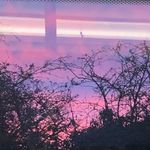 Profile Picture of Hannah walters (@hannahwalters357) on Instagram
