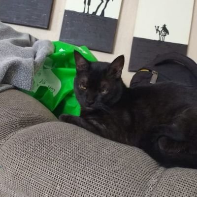 Profile Picture of Bernardo Alejandro Rivera (@Bernard20096303) on Twitter