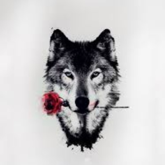 Profile Picture of Harper Collins (@destee_yel) on Poshmark