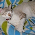 Hugo Valdovinos - Instagram Profile Picture of Hugo Valdovinos (@hugo.valdovinosfregoso) on Instagram