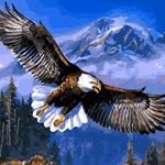 Profile Picture of Tammy Clough (@tammyshelpinghand) on Instagram