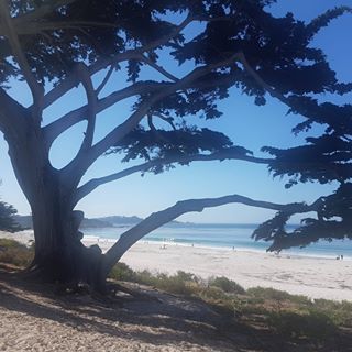 Profile Picture of Michael Britton (@Michael-Britton) on Facebook