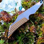 Profile Picture of Jan Classen (@Jan-Classen) on Facebook