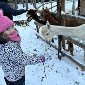 Profile Picture of J Smith (@jsmith7444) on Youtube