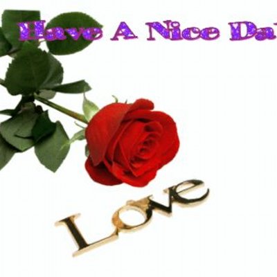 Profile Picture of Sara Chaka (@chaka_sara) on Twitter