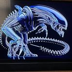 Profile Picture of Matt Freeberg (@matt.freeberg.3) on Facebook