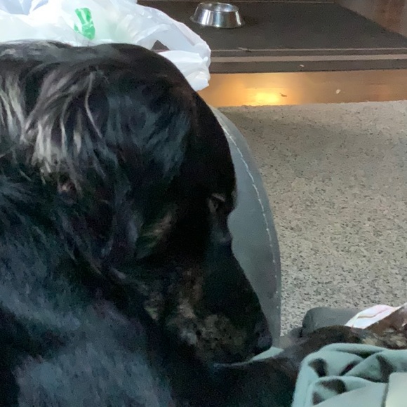 Profile Picture of Ronnie Battersby (@ronniebatts56p) on Poshmark