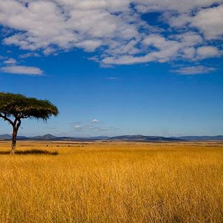 Profile Picture of Sharon Blum (@sharon.blum.520) on Facebook