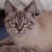Profile Picture of Joeldene DeCourcey (@joeldene) on Pinterest