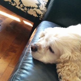 Aidan Keegan - Twitter Profile Picture of Aidan Keegan (@AKitterADay) on Twitter