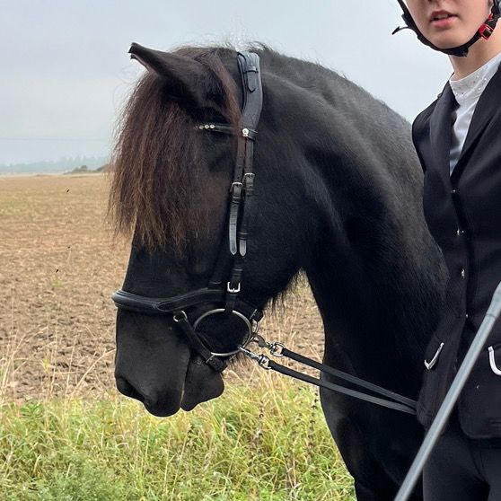 Profile Picture of 🇸🇪Alice Bernhardsson🇸🇪 (@equiii_.alice) on Tiktok